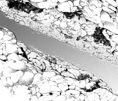 Drawing a grid of lines with a fluorescent marker breaks up a bird's reflection, so the repetitive pecking behavior stops. Another Point Of View The Drawing Of Bird S Eye View Cliff With Rock Wall Brush White Manga Materials