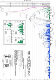 The Coral Of Life Springerlink