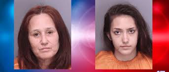 2 women arrested in Florence Co. after undercover meth distribution  operation