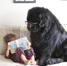 What if he's learned to gather/focus his own power by watching dresden? Maggie And Mouse Circa 2015 Colorized Dresdenfiles