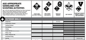 Whats That Age Again A Complete Guide To When Scouts Can