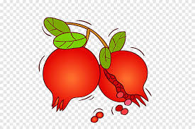Gambar buah delima hitam putih. Buah Delima Auglis Delima Makanan Tomat Png Pngegg