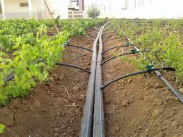 The first fruit tree you can plant is an apple tree. Irrigation Systems For Fruit Tree Agriculture Globalgiving