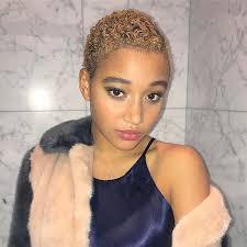 Amandla Amandlastenberg Photos Et Videos Instagram Natural Hair Styles Short Hair Styles Natural Hair Twa