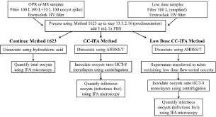 Flow Chart For 100 Oocyst And Low Dose Spiked Samples