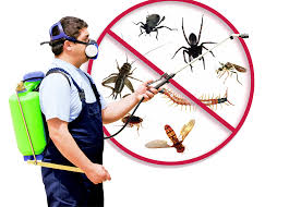 KFM- Pest Control