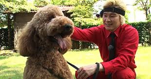 絶対 カズレーザー テレビ朝日 カズレーザー レーザー カズ