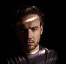 Who else is so obsessed with one direction and Liam Payne and can not stop  thinking about them and Liam and listening to there songs and Liam's