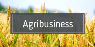 The Role of Private Sector in Leveraging Agribusiness Investment  Opportunities in Nigeria | AsheNews AsheNews Daily