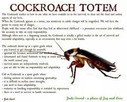 Cockroach Totem Spirit Animal Meaning Animal Spirit Guides Power Animal