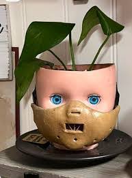 Ashley Henrikson's Instagram, Twitter & Facebook