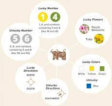 Chinese Zodiac Sign 2021 Year Of Ox Facts Fortunes Personality Traits In 2021 Chinese Zodiac Signs Chinese Zodiac Zodiac