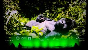 New Netflix movie traces the legacy of Sir David Attenborough’s favourite mountain gorilla