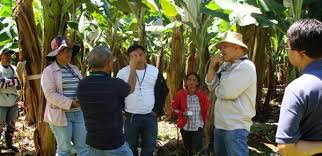 Центр трудоустройства кти (филиала) волггту. Knowledge Technology And Innovation Group Kti Wur