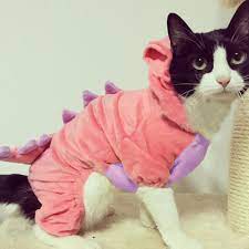 Pin On Dog Apparel And Accessories