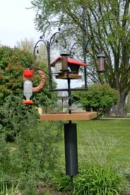 Diy Bird Feeder Pole System Pin By Sallie Krebs On Bird Watching Squirrel Proof Bird Feeders Backyard Birds Sanctuary Bird Feeder Poles