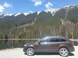 Image result for Teak Brown 2010 Q7