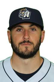 David Freitas minor league baseball statistics