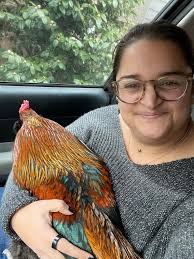 Lost rooster near 4th/5th avenue found