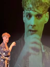 Thomas Soler, Comédien