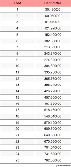 31 factual meter to feet converter chart