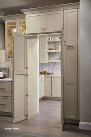 New Kitchen Pantry Ideas In 2020 Elegant Kitchen Design Pantry Design Kitchen Pantry Design