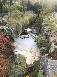 Read reviews and choose a room with planetofhotels.com. Medienmitteilung Staatskanzlei Kanton Solothurn