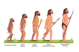 3,868 Neanderthal Stock Photos, Pictures & Royalty-Free Images - iStock