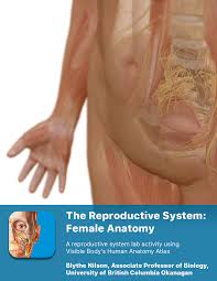 You will find here more than 205,000 photos. Https Www Visiblebody Com Hubfs Lab 20manuals Atlas 20lab 20manuals 20 20student 20fill 20in Lab 20manual Reproductive Female Atlas Pdf