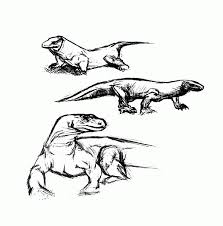 Home > science > komodo dragon coloring. Komodo Dragon Coloring Page Coloring Home