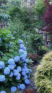 Winter Springs Gardens Finegardening Spring Garden Plants Luxury Garden