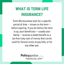 Life Insurance 101
