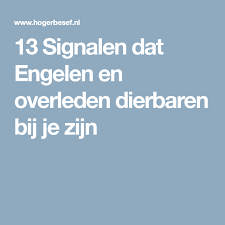 13 Signalen Dat Engelen En Overleden Dierbaren Bij Je Zijn Engel Spirituele Gidsen Engel Nummers