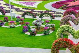 Selain itu tumbuhan hijau juga mewarnai taman ini. Dubai Miracle Garden Taman Bunga Terluas Di Dunia Republika Online