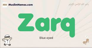 Zarq Meaning Of The Muslim Baby Name Zarq