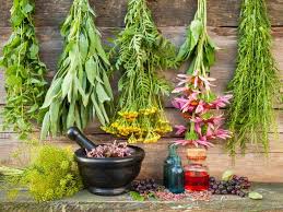 How to start a medicinal herb garden. 12 Healing Herbs You Need To Grow In Your Medicinal Garden