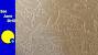 White Brocade Texture