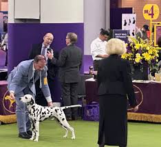 نمایه ‏‎Mason and Dixon Kennel Club, Inc.‎‏‎