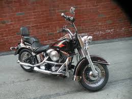 Image result for Vivid Black 1993 FXSTS