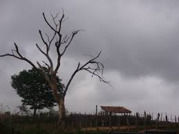 Image result for chuvas em umarizal