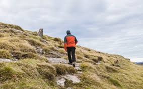 What S Better For Weight Loss Hiit Or Incline Walking Walking Myfitnesspal