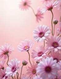 With Photos Personalized Poker Chip Set