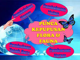 Beberapa fauna tersebut hanya ada dan menjadi fauna endemik di malaysia saja. Assigment Flora N Fauna