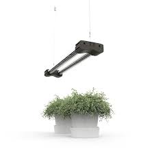 Check spelling or type a new query. Dymond Led Grow Light 24 In Full Spectrum 5000k 660nm Red Linkable 1 Pack Lowes Com In 2021 Led Grow Lights Grow Lights Grow Light Bulbs