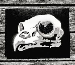 Owl Skull Me 3 Layers Of Handmade Stencils And Spray Painted By Me 2020 Art
