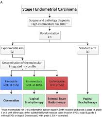 Cancer of the uterine corpus is the most common pelvic gynecologic malignancy in the united states and in most developed countries with access the early detection, presenting symptoms, and higher survival rate make it unlikely that screening will have a successful impact on improving survival rates. Molecular Integrated Risk Profile To Determine Adjuvant Radiotherapy In Endometrial Cancer Evaluation Of The Pilot Phase Of The Portec 4a Trial Gynecologic Oncology