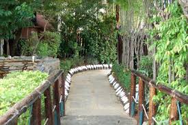 Garden Sanctuary Wedding Reception Hall Wedding Site Trinidad