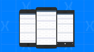 Overview Of Data Grid In Xamarin Forms Part 2 Syncfusion Blogs