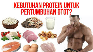 Saat tubuh bergerak, akan terjadi kontraksi otot, saat kontraksi inilah peran protein penggerak dibutuhkan. Cara Menghitung Protein Harian Untuk Membangun Otot Dan Membakar Lemak Youtube
