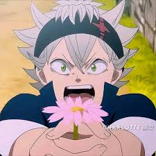 Black Clover: Grimoire Edition